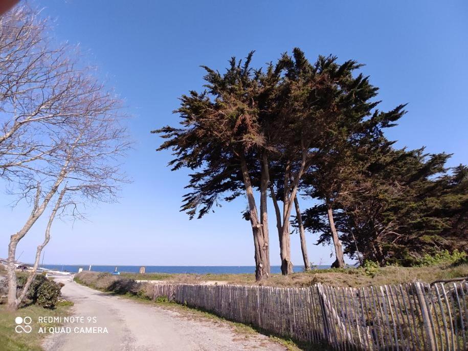 Logement En Rdc Port Haliguen Διαμέρισμα Quiberon Εξωτερικό φωτογραφία