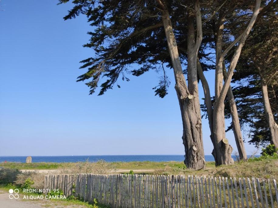 Logement En Rdc Port Haliguen Διαμέρισμα Quiberon Εξωτερικό φωτογραφία